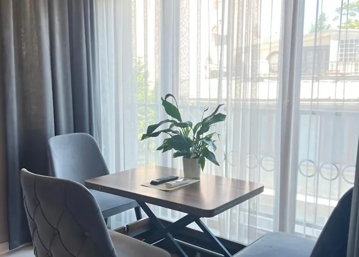 A Great In Center,nest Cihangir *